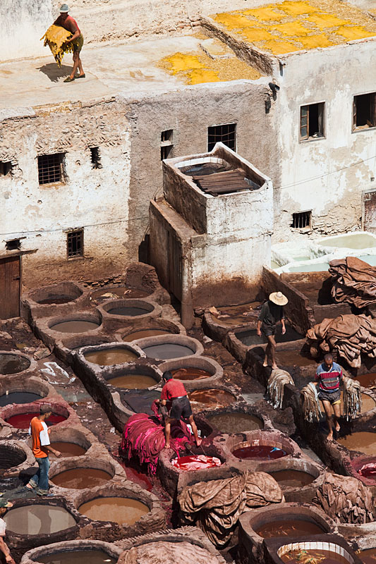  The tanneries of Fez   Morocco